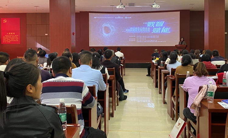 数智赋能 助力桃江县中小企业全网营销转型升级